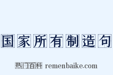 国家所有制造句是什么意思的图片